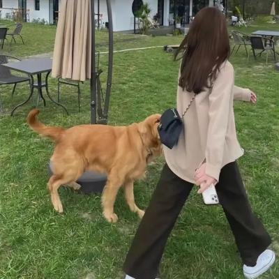 女孩不平凡海报